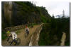 Trans Germany 2010
